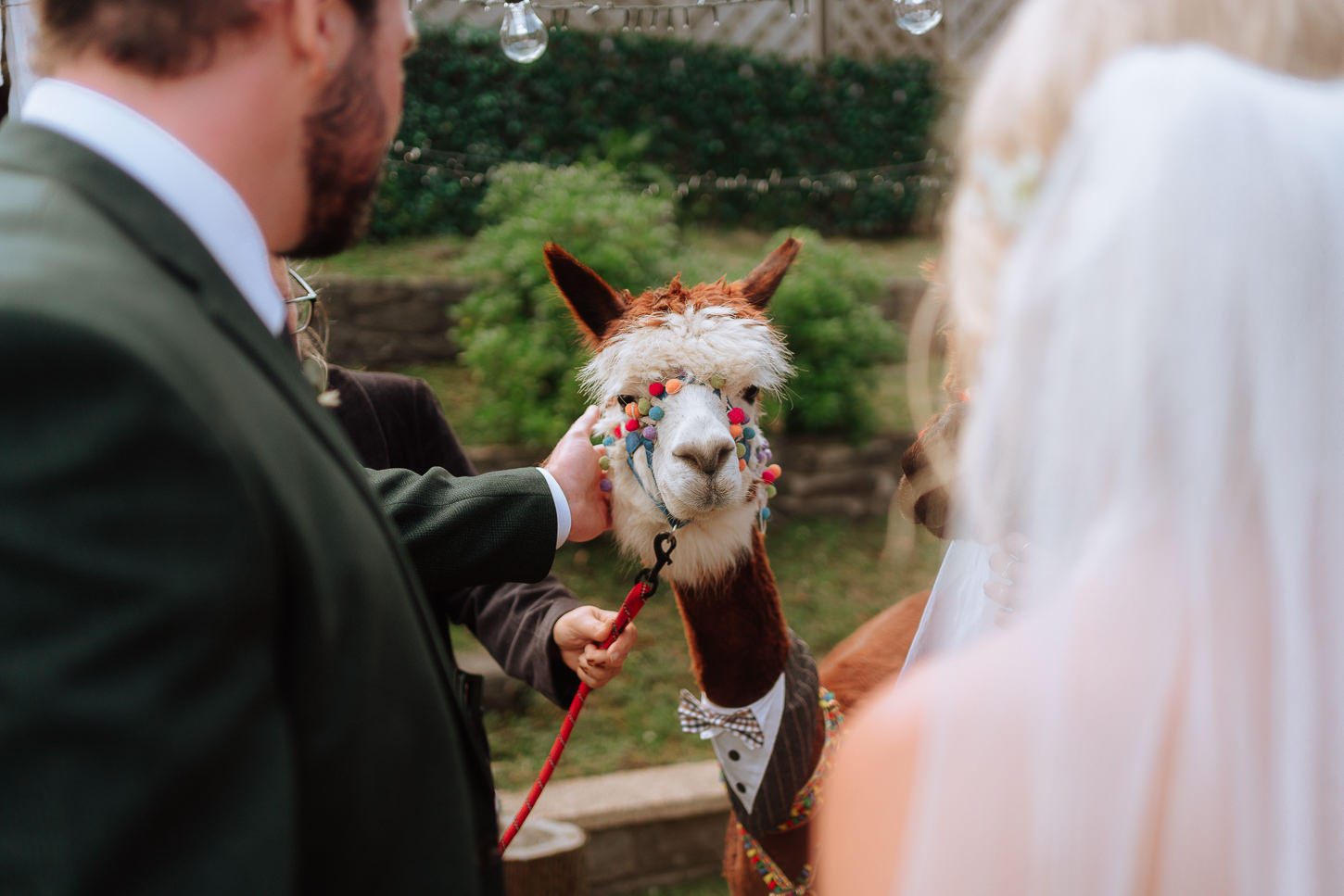 GRACE EWAN FAMILY HOME WEDDING PHOTOGRAPHY 015 GRACE EWAN FAMILY HOME WEDDING PHOTOGRAPHY 015